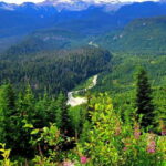 Watersprite Lake/ Hiking Day Trip - Final Thoughts: Is This Tour Worth It?