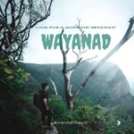 Wayanad: 2-Day Tour with Sightseeing and Accommodation - An In-Depth Look at the Wayanad Tour