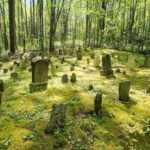 Wears Valley: Peaceful Smokies & 1882 Historic Schoolhouse - Final Thoughts: Why It’s Worth Your Time