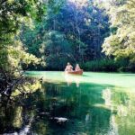 Weeki Wachee kayaking - The Sum Up