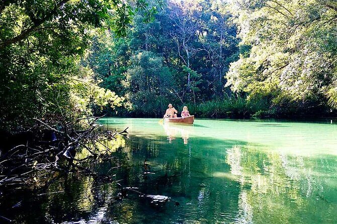 Weeki Wachee kayaking - The Sum Up