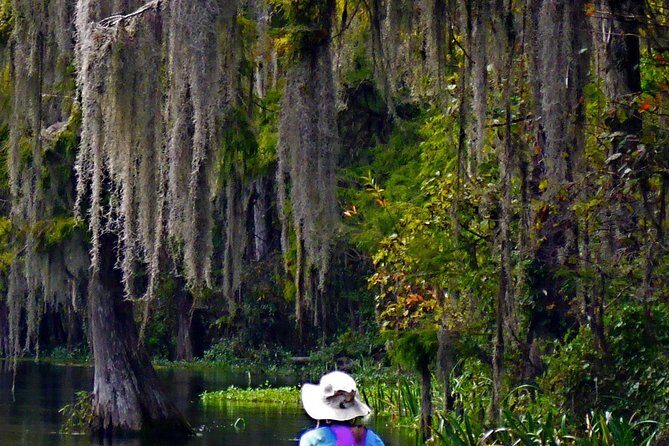 Wekiva River Guided Kayak Tour - In-Depth Review of the Wekiva River Kayak Tour