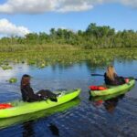 Wekiva Wildlife kayaking Adventure Tour - Discovering the Wekiva Wildlife Kayaking Adventure