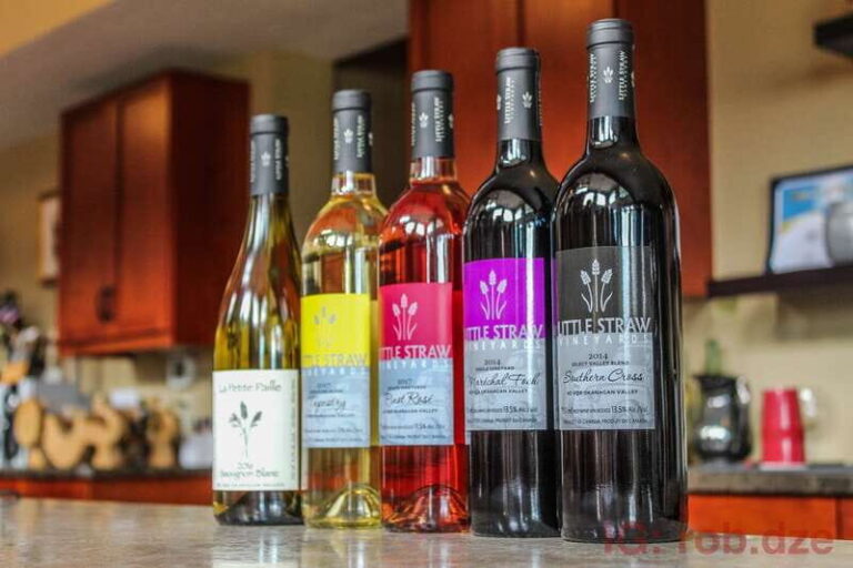 West Kelowna: Afternoon Sightseeing and Wine Tour - Final Thoughts: Is It Worth It?