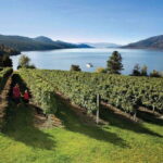 West Kelowna: Wine Tour with Tastings - An In-Depth Look at the West Kelowna Wine Tour Experience