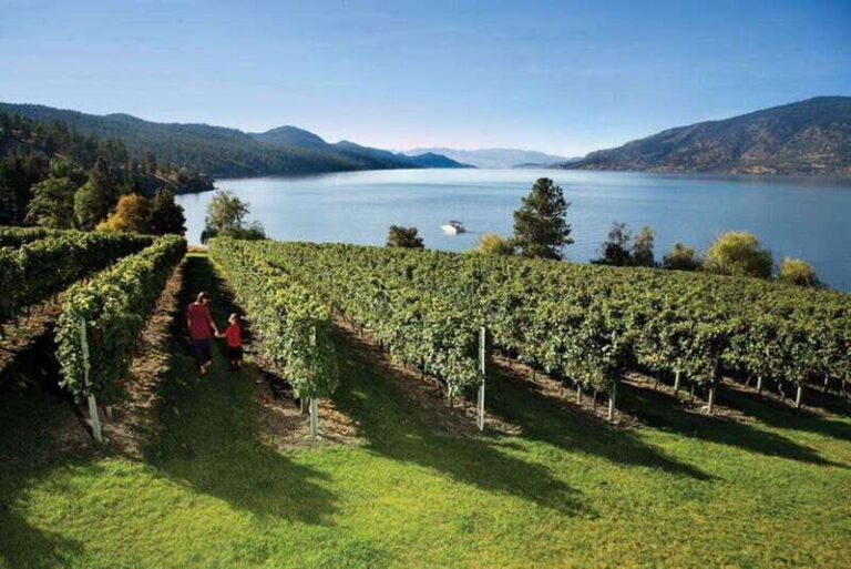 West Kelowna: Wine Tour with Tastings - An In-Depth Look at the West Kelowna Wine Tour Experience