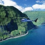 West Maui and Molokai 60-Minute Helicopter Tour - Who Will Love This Tour?