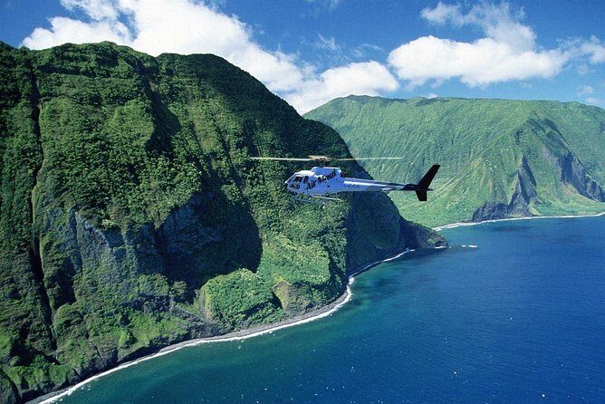 West Maui and Molokai 60-Minute Helicopter Tour - Who Will Love This Tour?