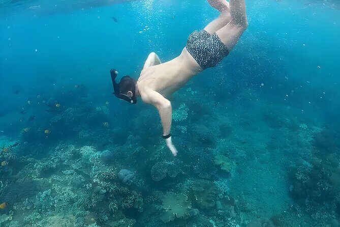 West Nusa Penida Island Snorkeling Tour - From Bali Island - Who Should Consider This Tour?