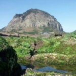 West of jeju private Jumbo taxi tour with Mr.KO (Suhong) - Who Is This Tour Best For?