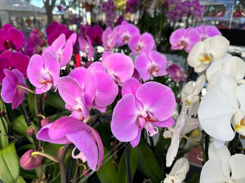 West Palm Beach: Mornings in the Market Food Tour - Who Will Love This Tour?