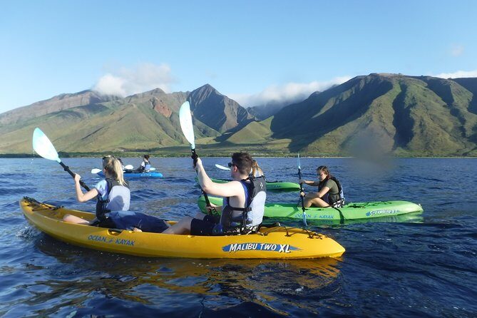 West Side Discovery Kayak & Snorkel Tour - Who Will Love This Tour?