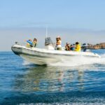 Whale and Dolphin Watching in San Diego - FAQs