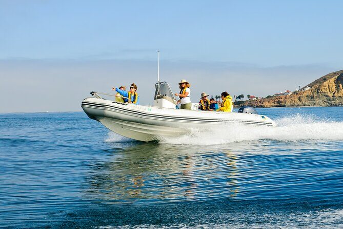 Whale and Dolphin Watching in San Diego - FAQs