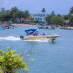 Whale and Dolphin Watching - Private Speed Boat Tour - Who Would Love This Tour?