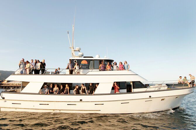 Whale and Wildlife Yacht Cruise in Santa Barbara - Final Thoughts on the Whale and Wildlife Yacht Cruise