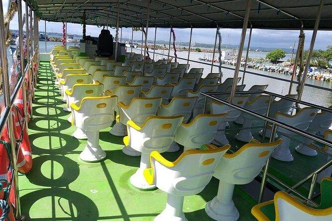 Whale & Dolphin Watching Day Tour including Handunugoda Teafactory - Practical Details and What to Expect