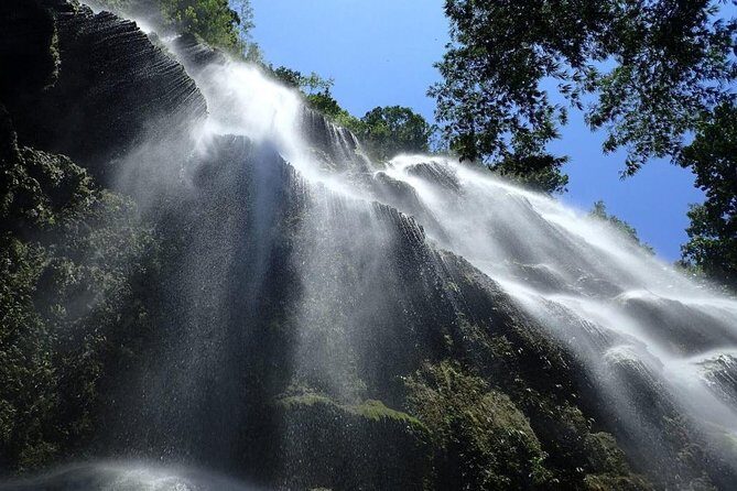Whale Shark Encounter and Sumilon Sandbar with Kawasan Falls - Who Should Consider This Tour?