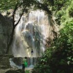 Whale Shark Encounter and Tumalog Waterfalls Tour - What’s Included and What’s Not