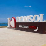 Whale Shark Interaction at Donsol Sorsogon by ZCHEDULISTA - Authenticity and Responsible Tourism