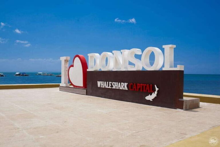 Whale Shark Interaction at Donsol Sorsogon by ZCHEDULISTA - Authenticity and Responsible Tourism