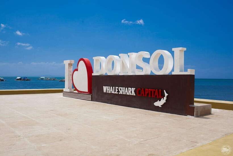 Whale Shark Interaction at Donsol Sorsogon by ZCHEDULISTA - Authenticity and Responsible Tourism