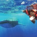 Whale Shark Watching and Snorkeling Experience on Contoy Island - Authentic Experiences and Authentic Guides