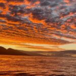 Whale Watch and Scenic Tour from Kayak - Who Will Love This Tour?