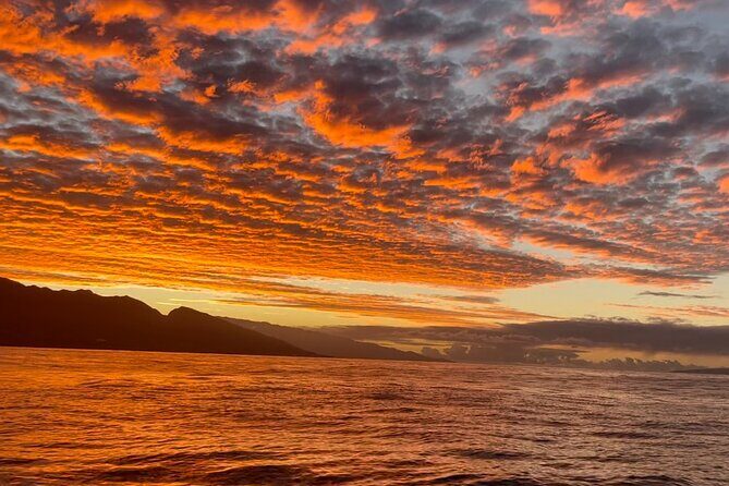 Whale Watch and Scenic Tour from Kayak - Who Will Love This Tour?