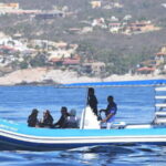 Whale Watch Cabo: Zodiac Whale Adventure - FREE Photos - Why This Tour Offers Great Value
