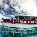 Whale Watch, Dolphins, Turtles and Sightseeing Cruise - Final Thoughts: Is It Worth It?