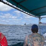 Whale watching - An In-Depth Look at the Whale-Watching Tour in Puerto Vallarta