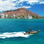 Whale Watching Adventure -Speed Boat & Small Group - FAQ