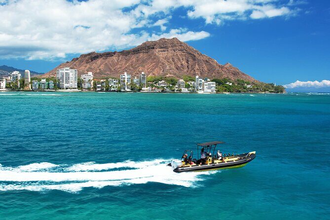 Whale Watching Adventure -Speed Boat & Small Group - FAQ