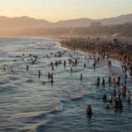 Whale Watching Cruise from Newport Beach - Final Thoughts