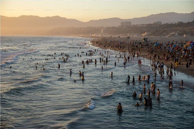 Whale Watching Cruise from Newport Beach - Final Thoughts