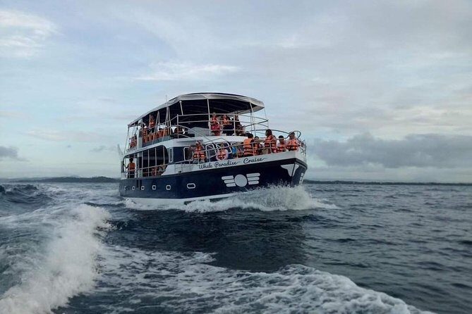 Whale Watching Experience in Mirissa - Why This Tour Is Worth Considering