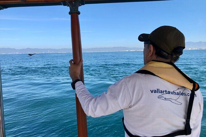 Whale Watching Experience in Puerto Vallarta - Guided by Knowledgable Naturalists