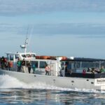 Whale Watching from Friday Harbor - The itinerary: what to expect at each stop