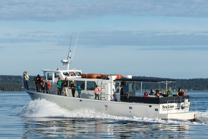 Whale Watching from Friday Harbor - The itinerary: what to expect at each stop