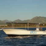 Whale Watching Group Tour in San Jose del Cabo - Who Would Love This Tour?