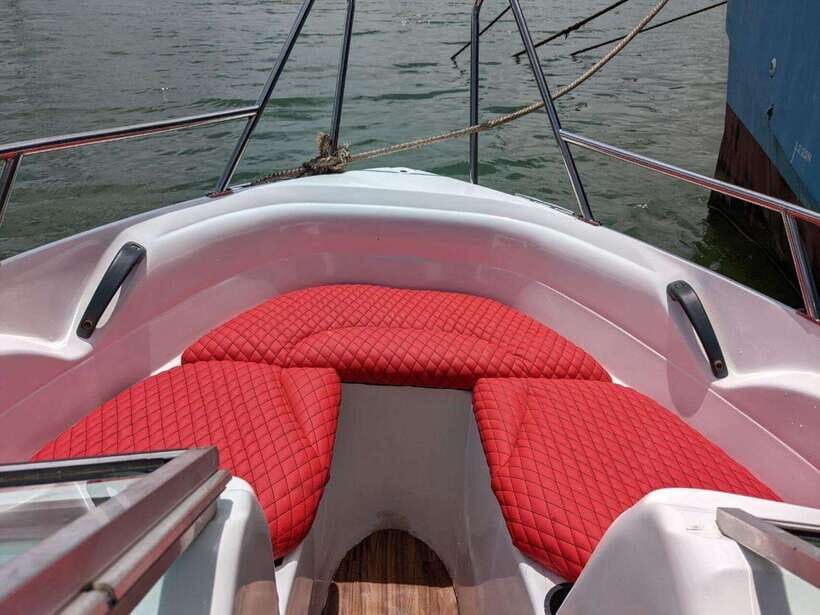 Whale Watching in Speed Boat in Mirissa - The Experience: What to Expect on Your Whale-Watching Adventure