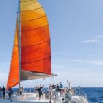 Whale Watching Sail in Honolulu with Open Bar - Who Will Love This Tour?