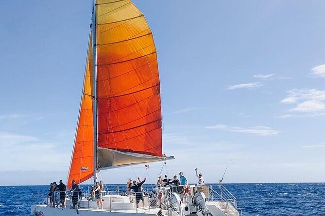 Whale Watching Sail in Honolulu with Open Bar - Who Will Love This Tour?