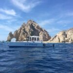 Whale Watching Tour in Los Cabos - Who is This Tour Best For?