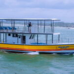 Whales & Dolphin Watching with The Pioneers - Who Should Consider This Tour?