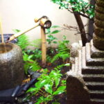 Whisk Your Own Matcha: A Zen Tea Ceremony Experience - A Closer Look at the Experience