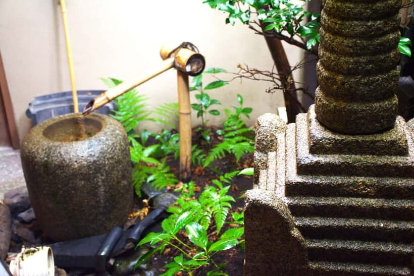 Whisk Your Own Matcha: A Zen Tea Ceremony Experience - A Closer Look at the Experience