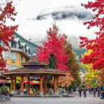Whistler: Adventure to Vancouver (3-Days) - The Itinerary in Detail: Why This Tour Works