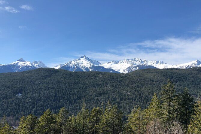 Whistler and Sea to Sky Gondola, a Fire and Ice Discovery Tour - The Experience — What Youll Really Take Home